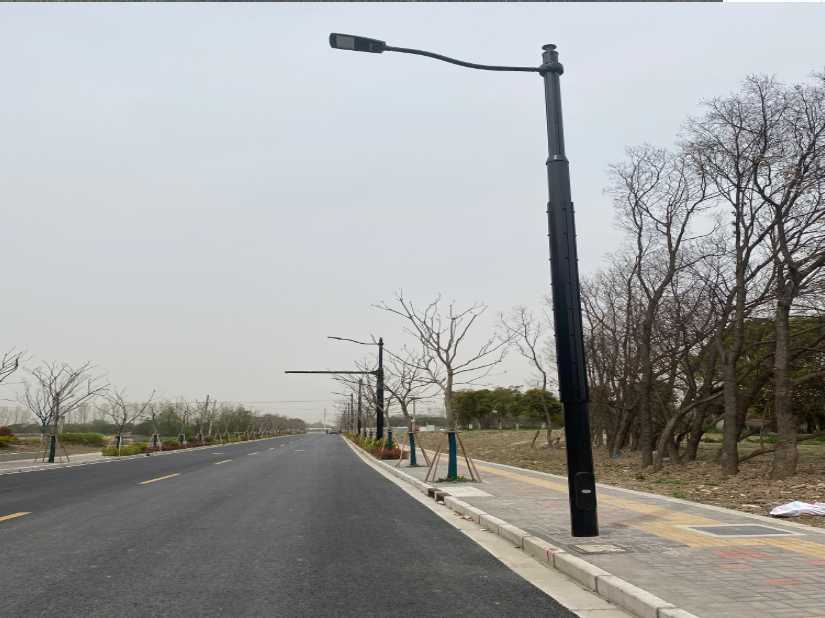 铁山港区上海综合杆 太阳能路灯工程